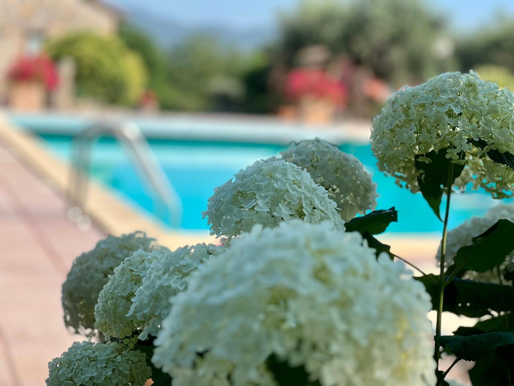 Le case di Lisetta Holiday homes Corciano Extérieur photo