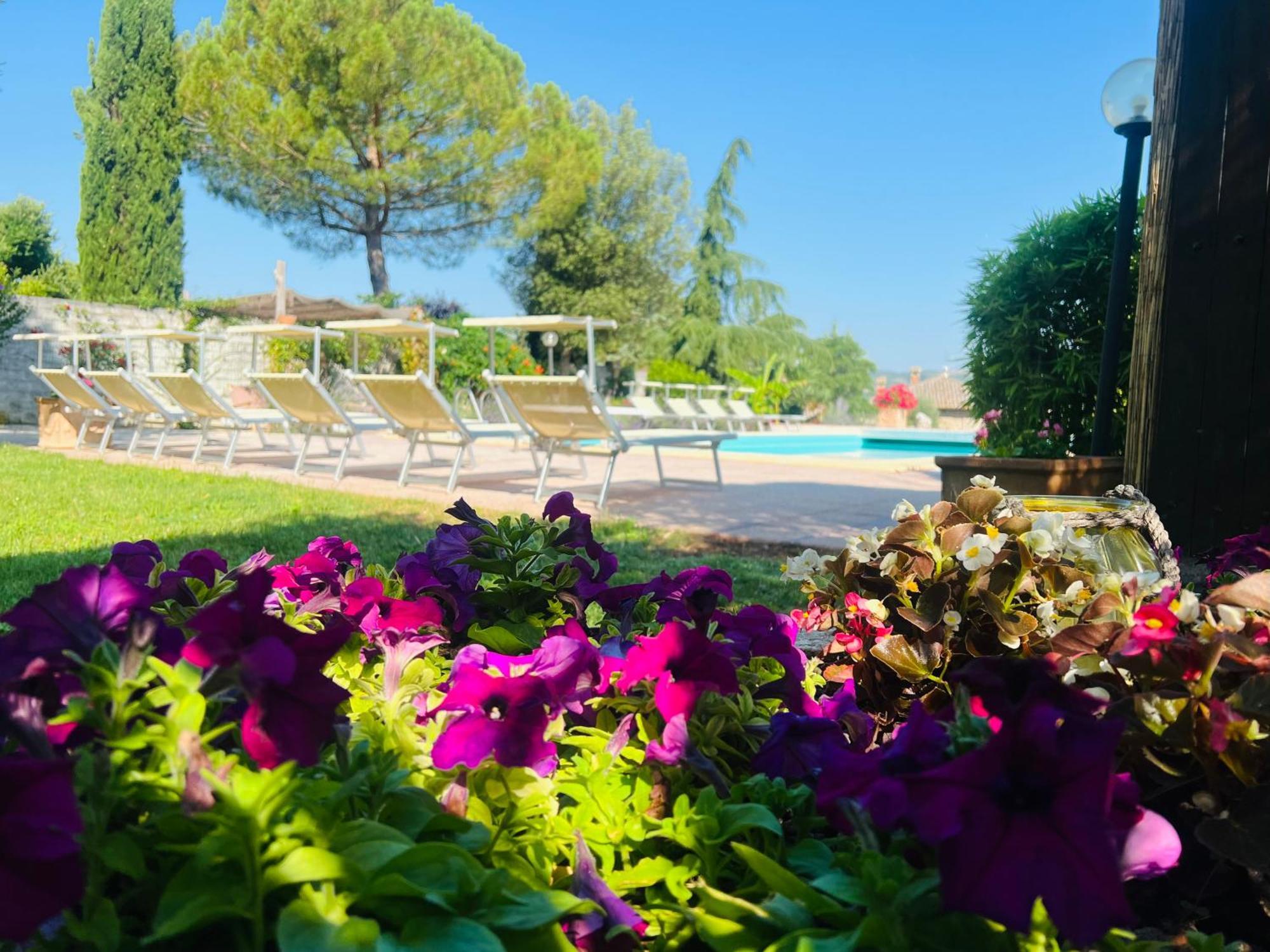 Le case di Lisetta Holiday homes Corciano Extérieur photo