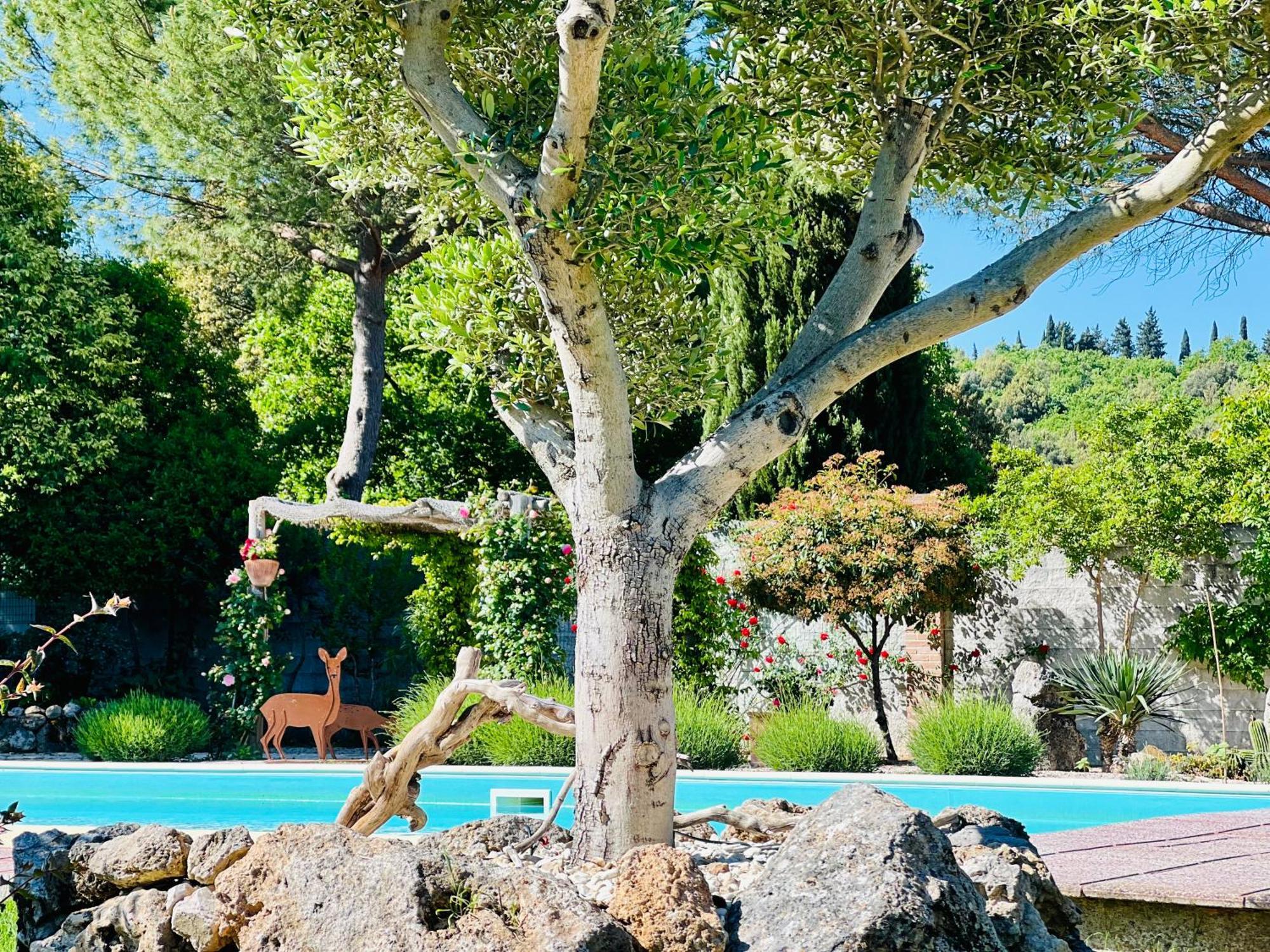 Le case di Lisetta Holiday homes Corciano Extérieur photo