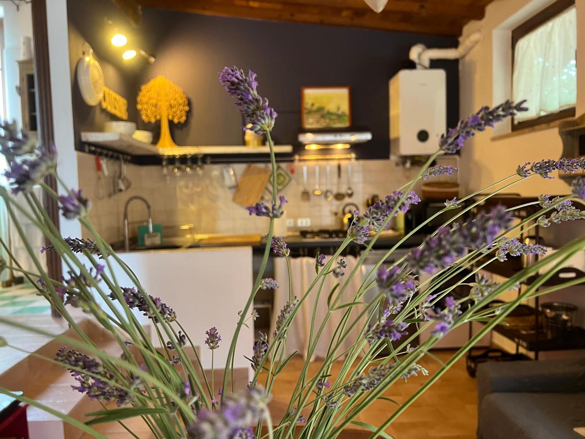 Le case di Lisetta Holiday homes Corciano Extérieur photo