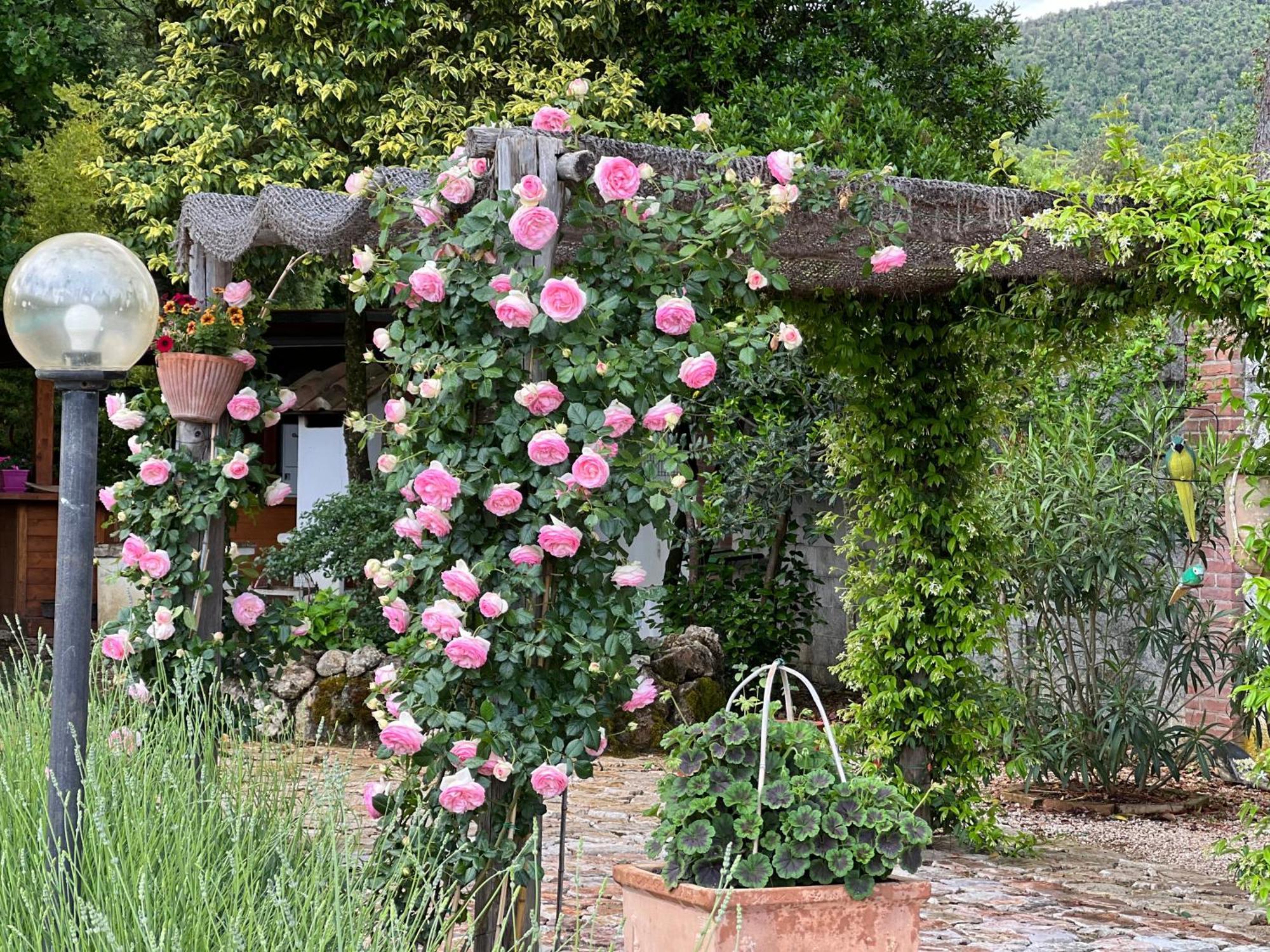 Le case di Lisetta Holiday homes Corciano Extérieur photo